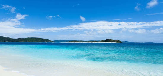 沖縄には花粉症がない！？