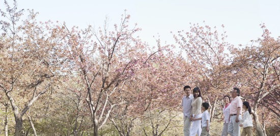 ■守るべきマナー