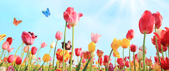 五月病にならないために心がけるべき予防のポイントは