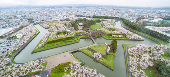ゴールデンウィークの北海道旅行おすすめスポット