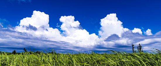 ■沖縄の面接は厳しい？