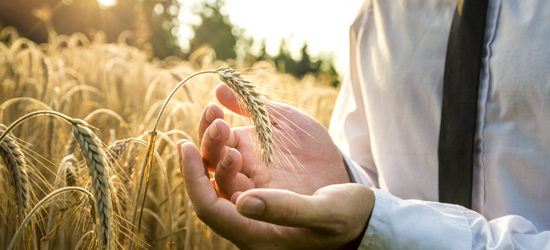 Uターンして自然に触れて働く、 北海道で農業を始める方法